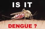 joni prayoga dengue